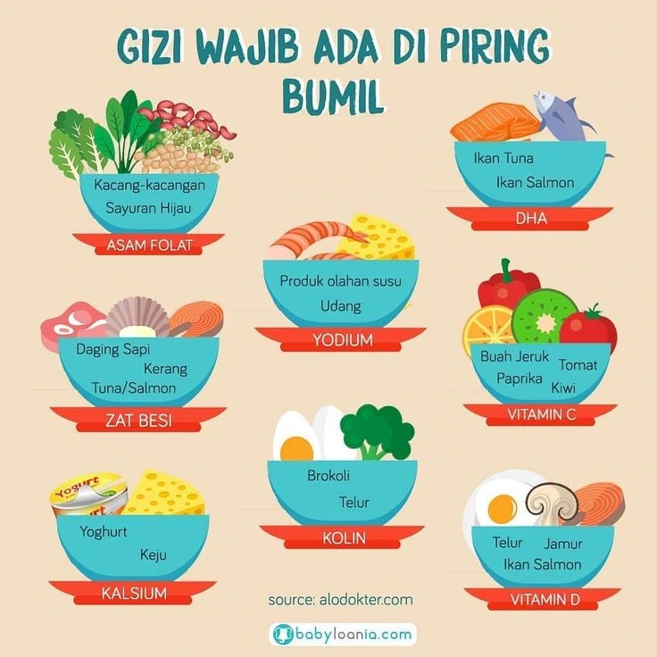 Mitos dan Fakta Tentang Makanan Ibu Hamil Untuk Pencegahan Hipertensi